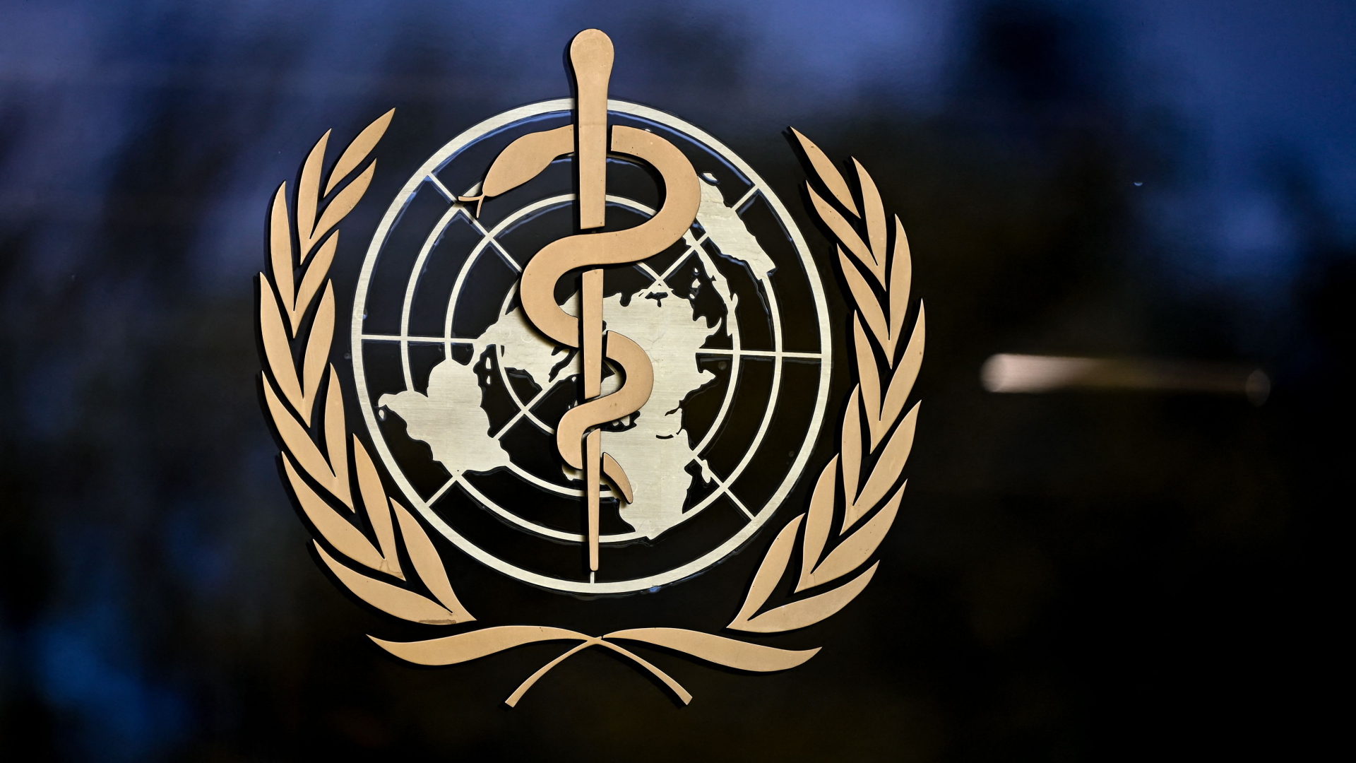 Logo der Weltgesundheitsorganisation | AFP