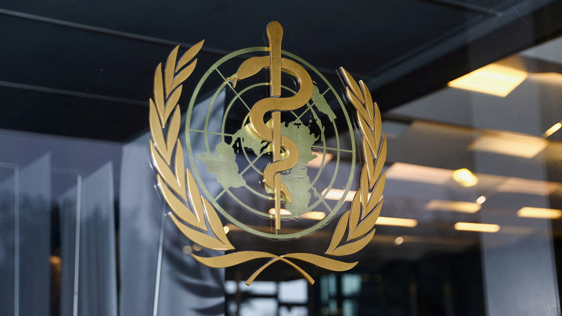 Logo der Weltgesundheitsorganisation | REUTERS