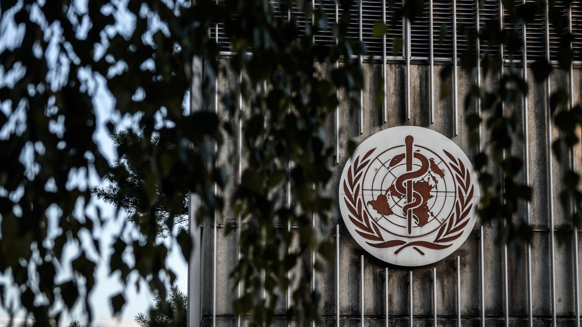 Das Logo der WHO am Hauptsitz der Organisation in Genf. | AFP