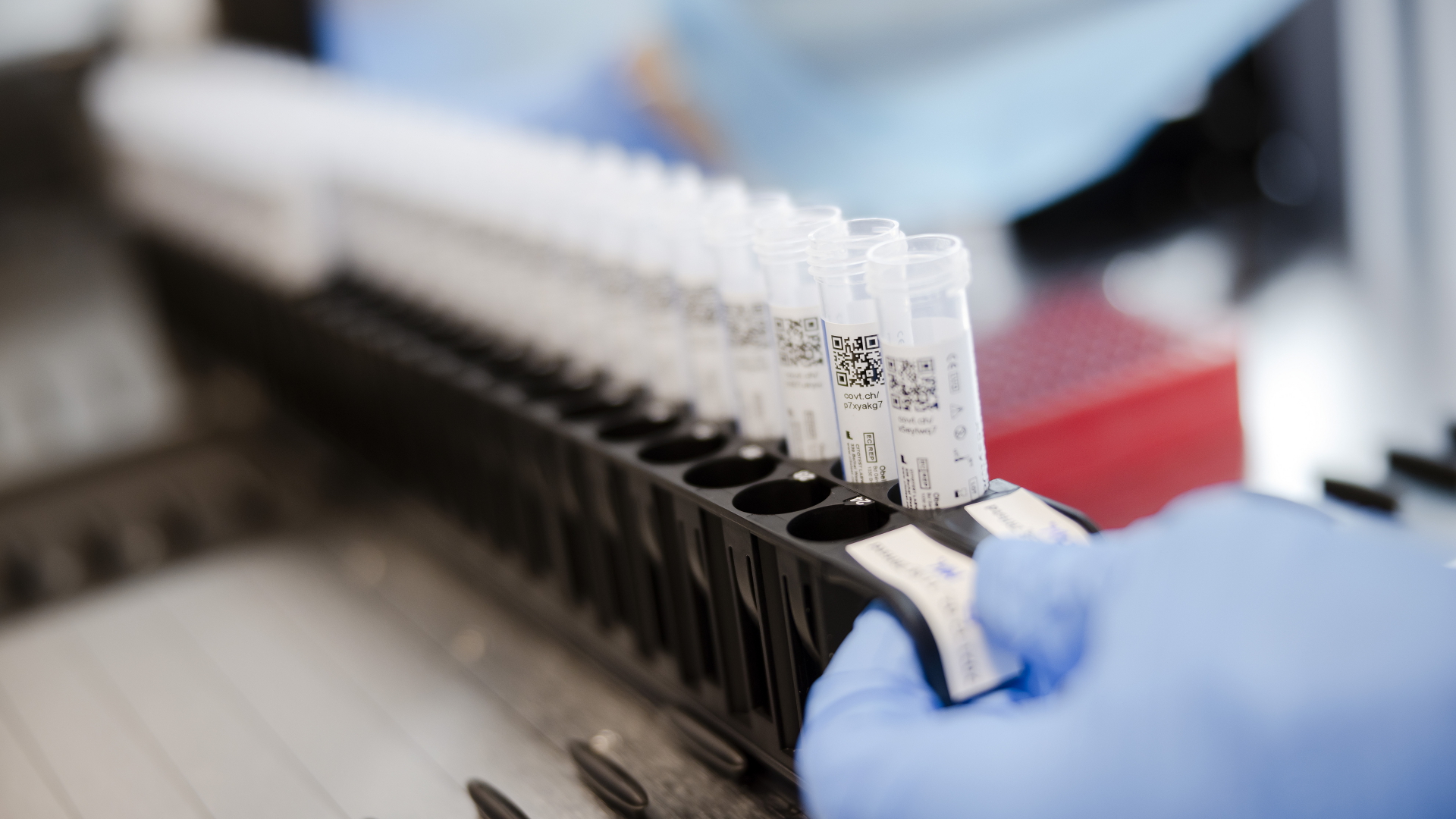 Laborproben mit PCR-Tests | dpa