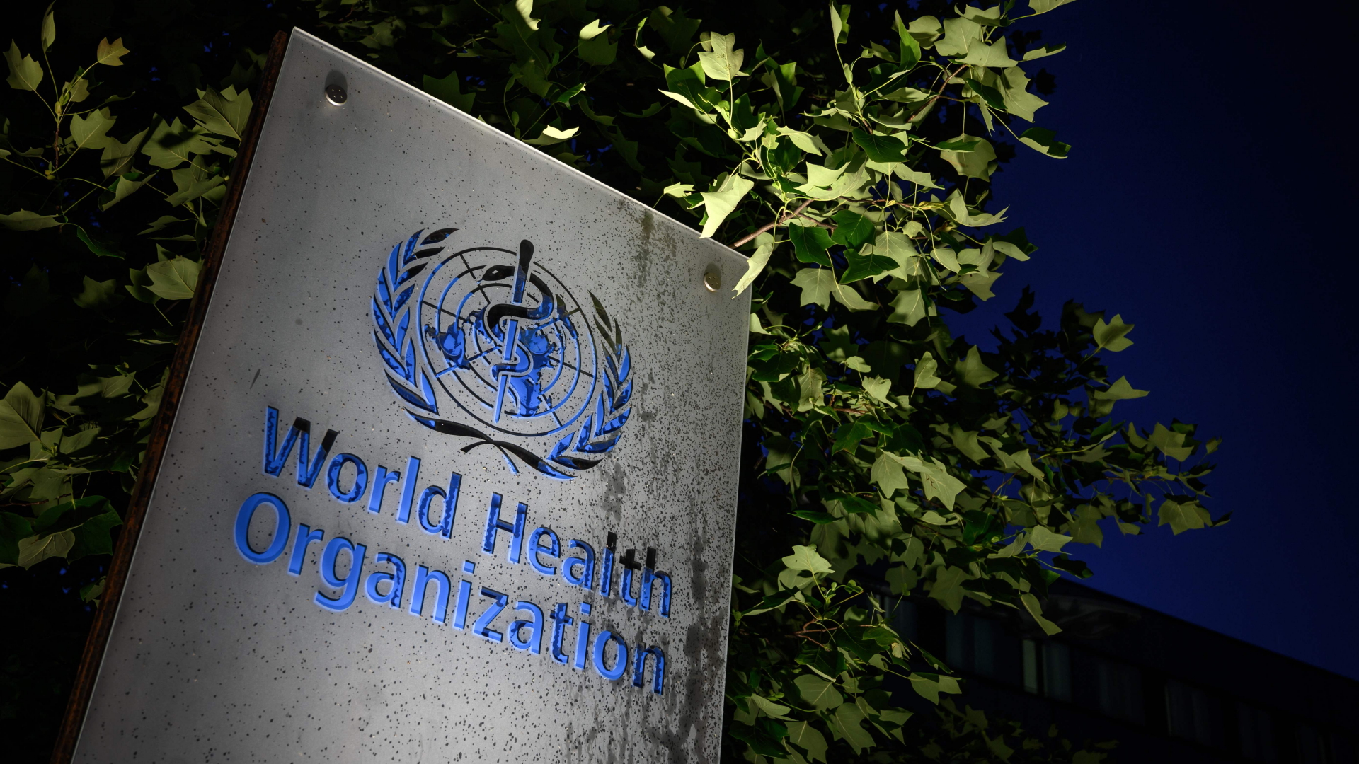 Ein Schild in Genf weist auf das Gebäude der WHO hin. | AFP