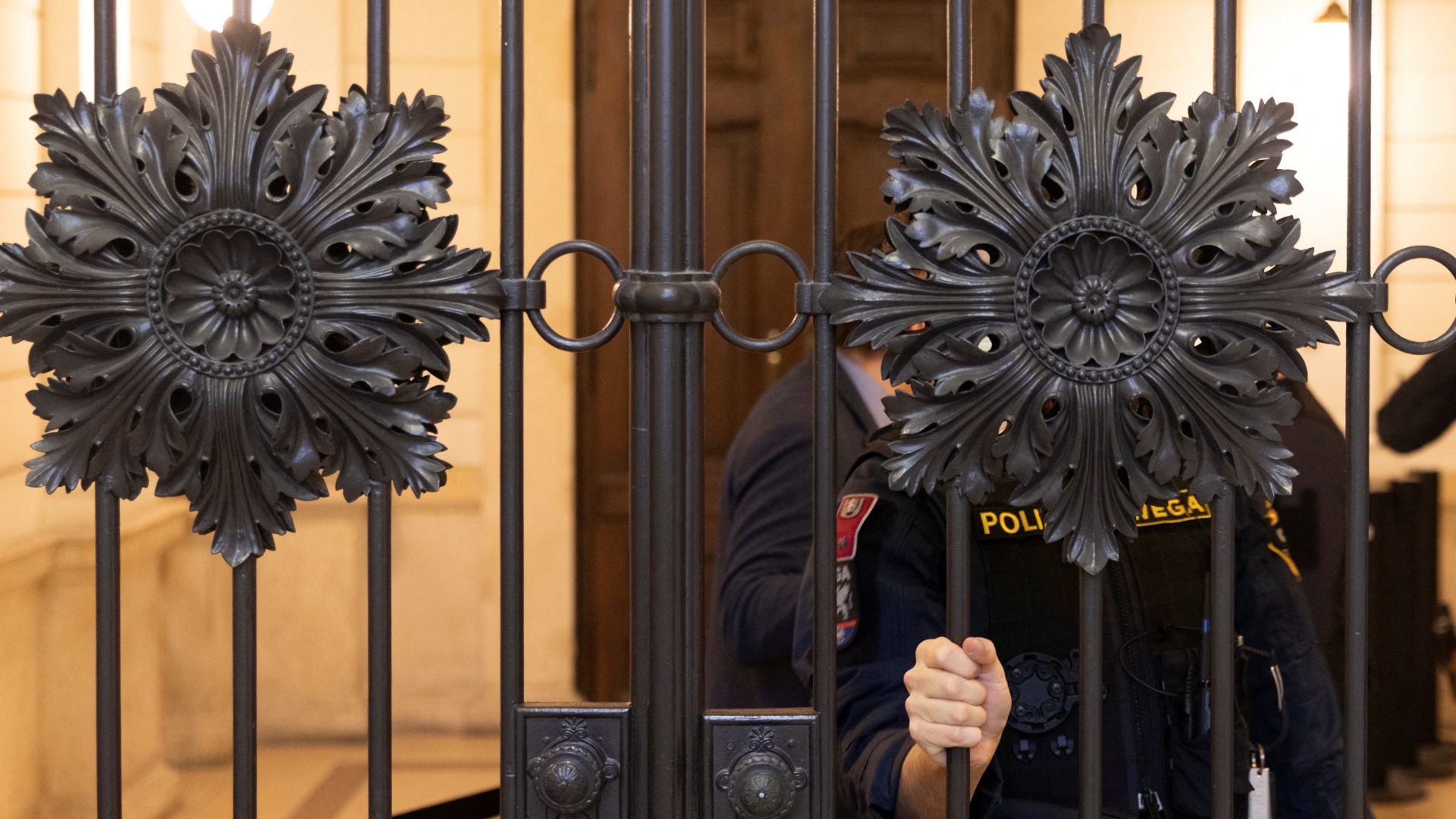 Ein Polizist steht hinter einem geschlossenen Gitter am Wiener Gericht.