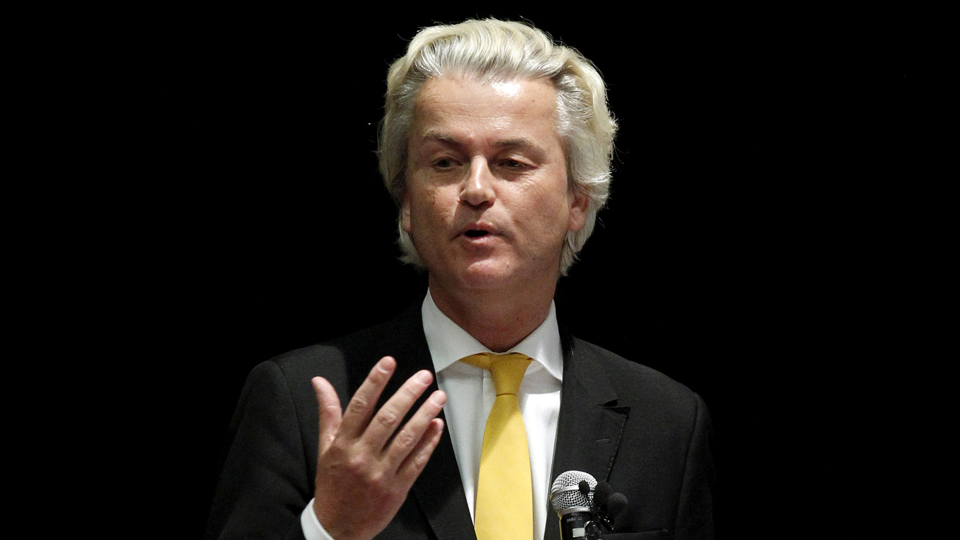 Wilders | REUTERS