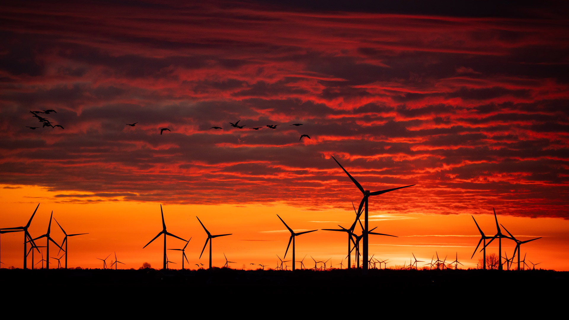 Windkraftanlagen bei Sonnenaufgang in einem Windpark im Sönke-Nissen-Koog an der Nordsee