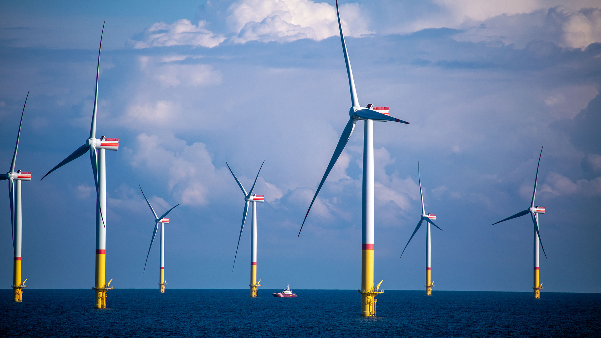 Windräder stehen zwischen den Inseln Rügen und Bornholm in der Ostsee. | dpa