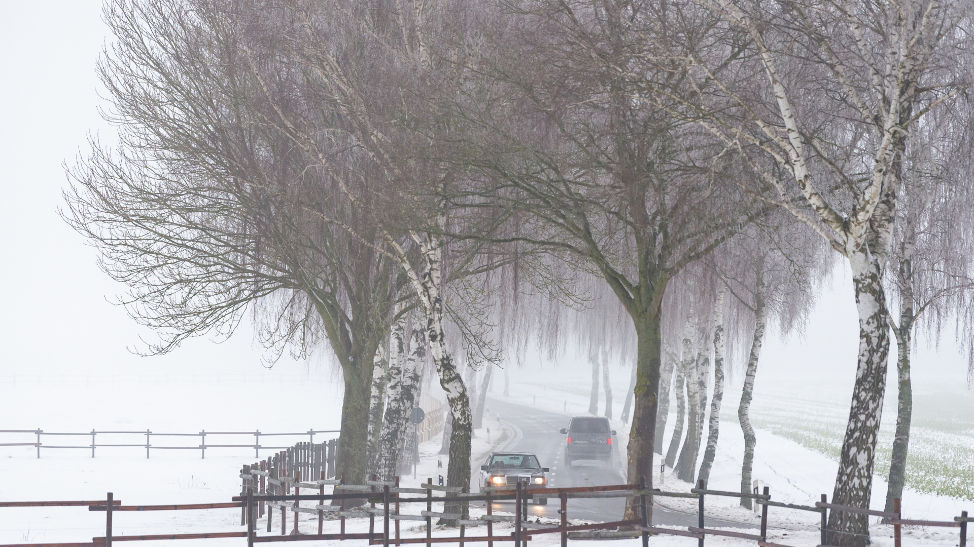 Autos fahren bei leichtem Regen über eine winterliche Landstraße in Niedersachsen. (Archivbild) | dpa