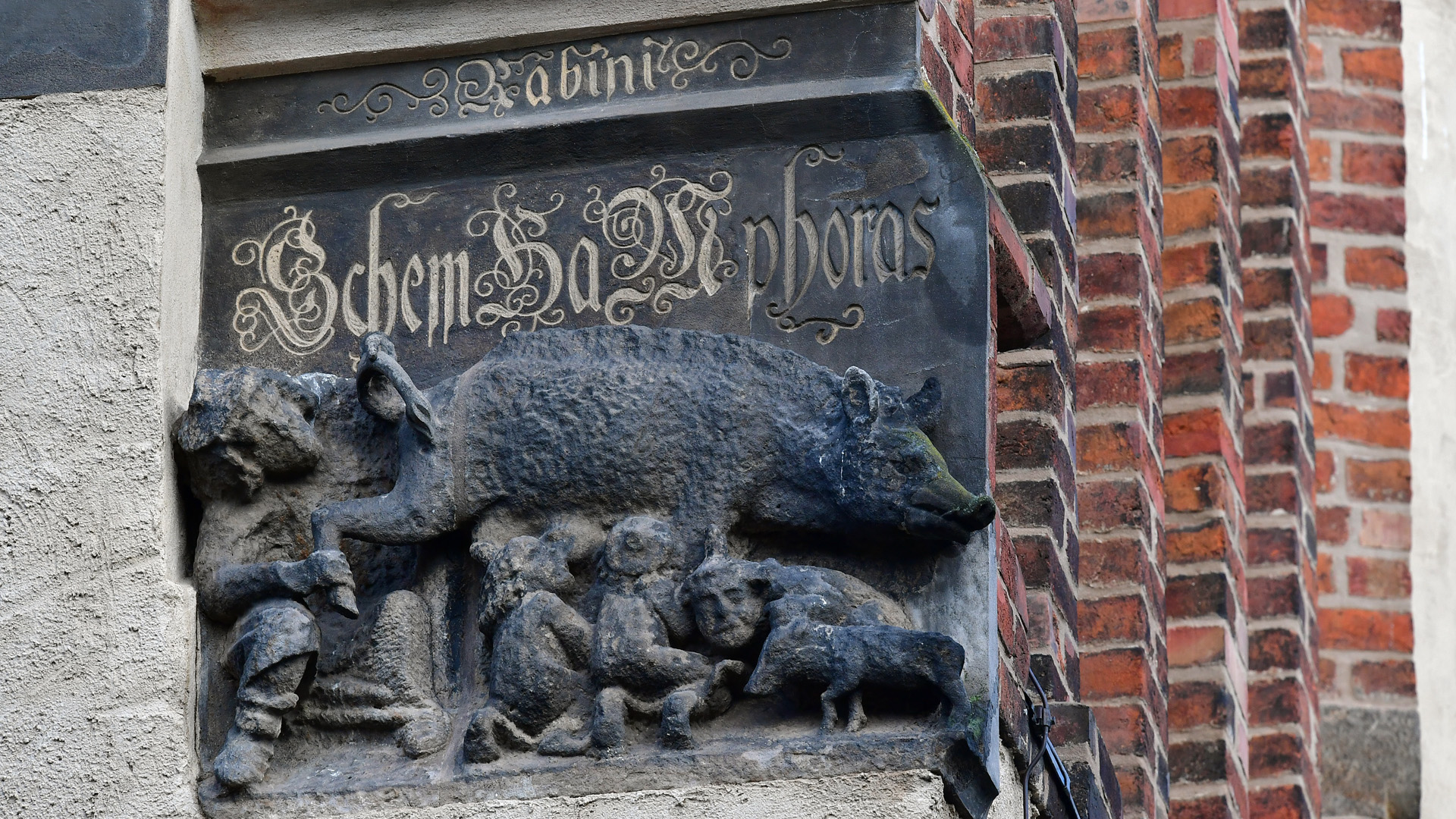 Die als "Judensau" bezeichnete Sandsteinplastik an der Stadtkirche Wittenberg | dpa