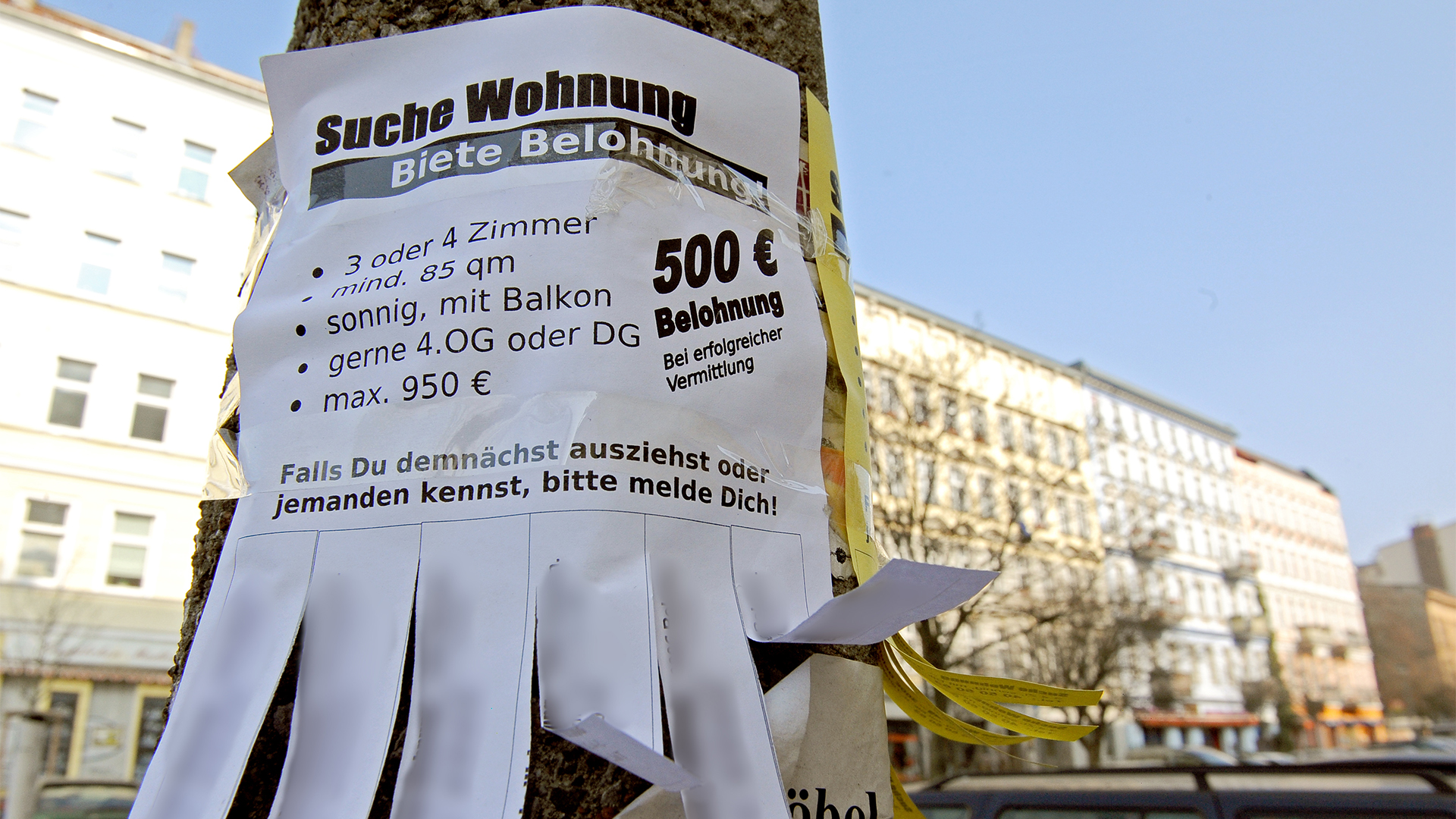500 Euro Belohnung für die erfolgreiche Vermittlung einer Wohnung steht auf einer Freiluftanzeige am Baum | picture alliance / Jens Kalaene/