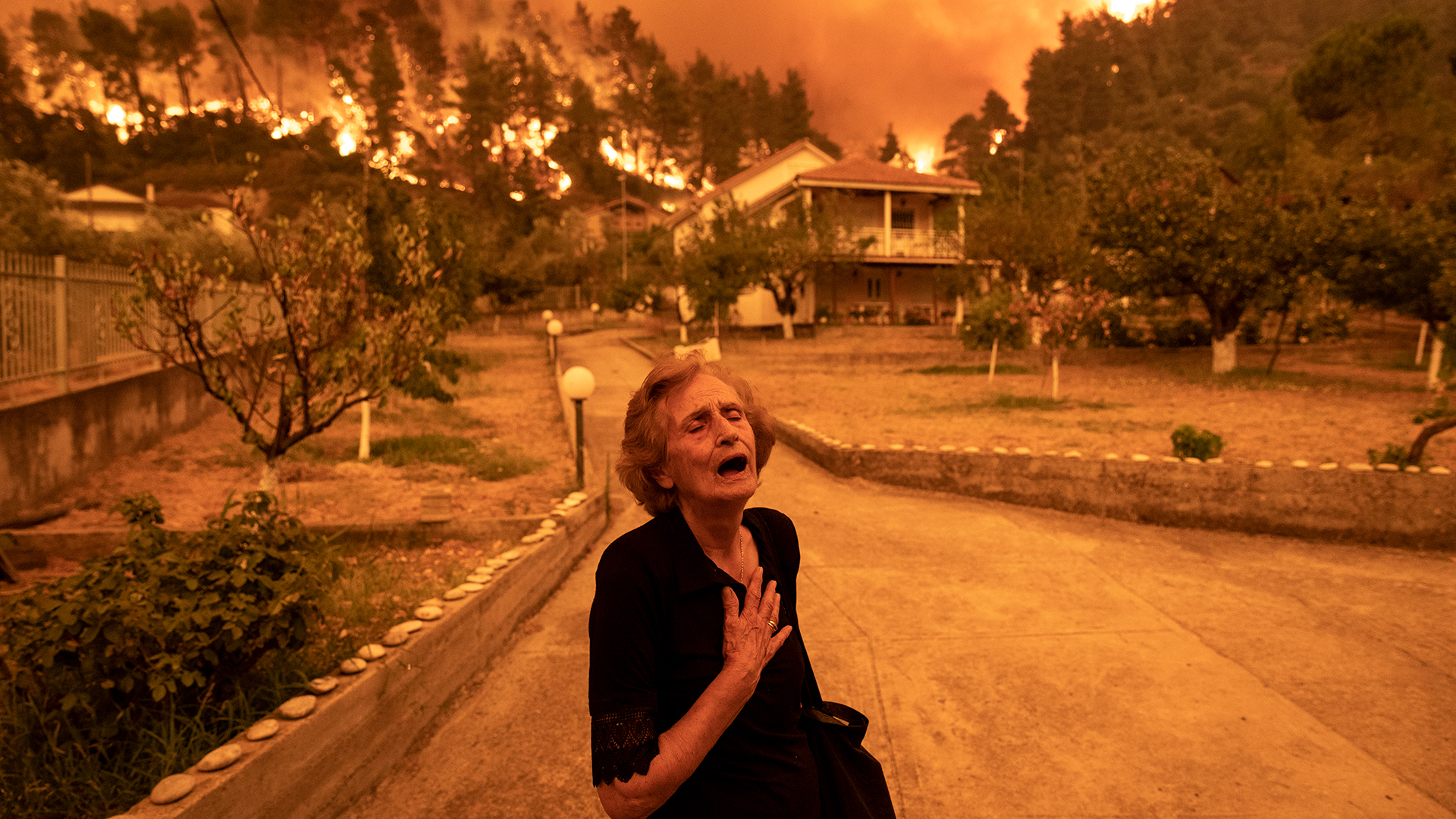 Das Gewinnerphoto des World Press Photo Awards vom verheerenden Waldbrand in Griechenland. | Konstantinos Tsakalidis/Konstantinos Tsakalidis/Bloomberg News/World Press Photo/dpa