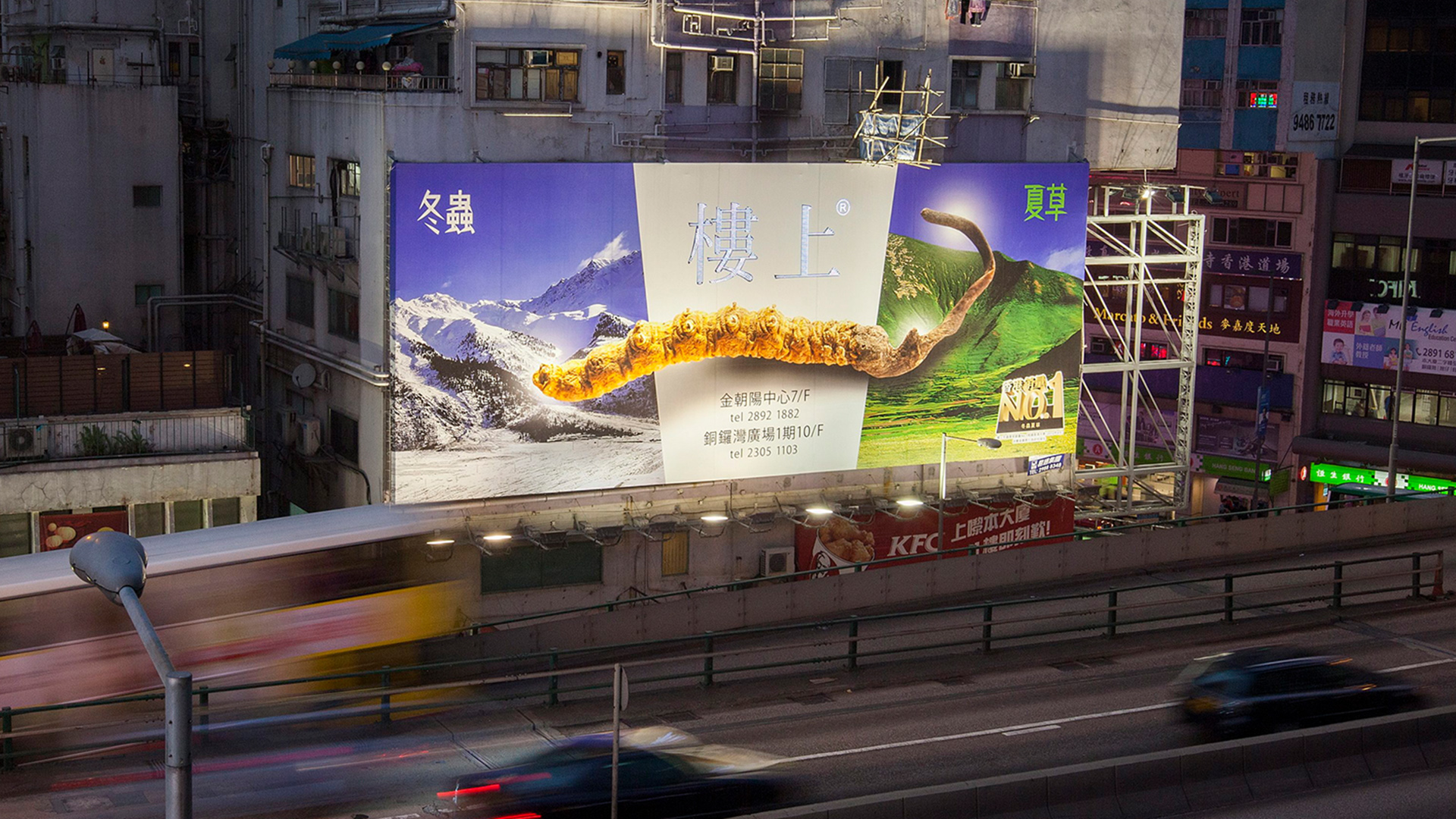 Werbetafel für Yartsa Gunbu in Causeway Bay, Hongkong, China | picture alliance / dpa