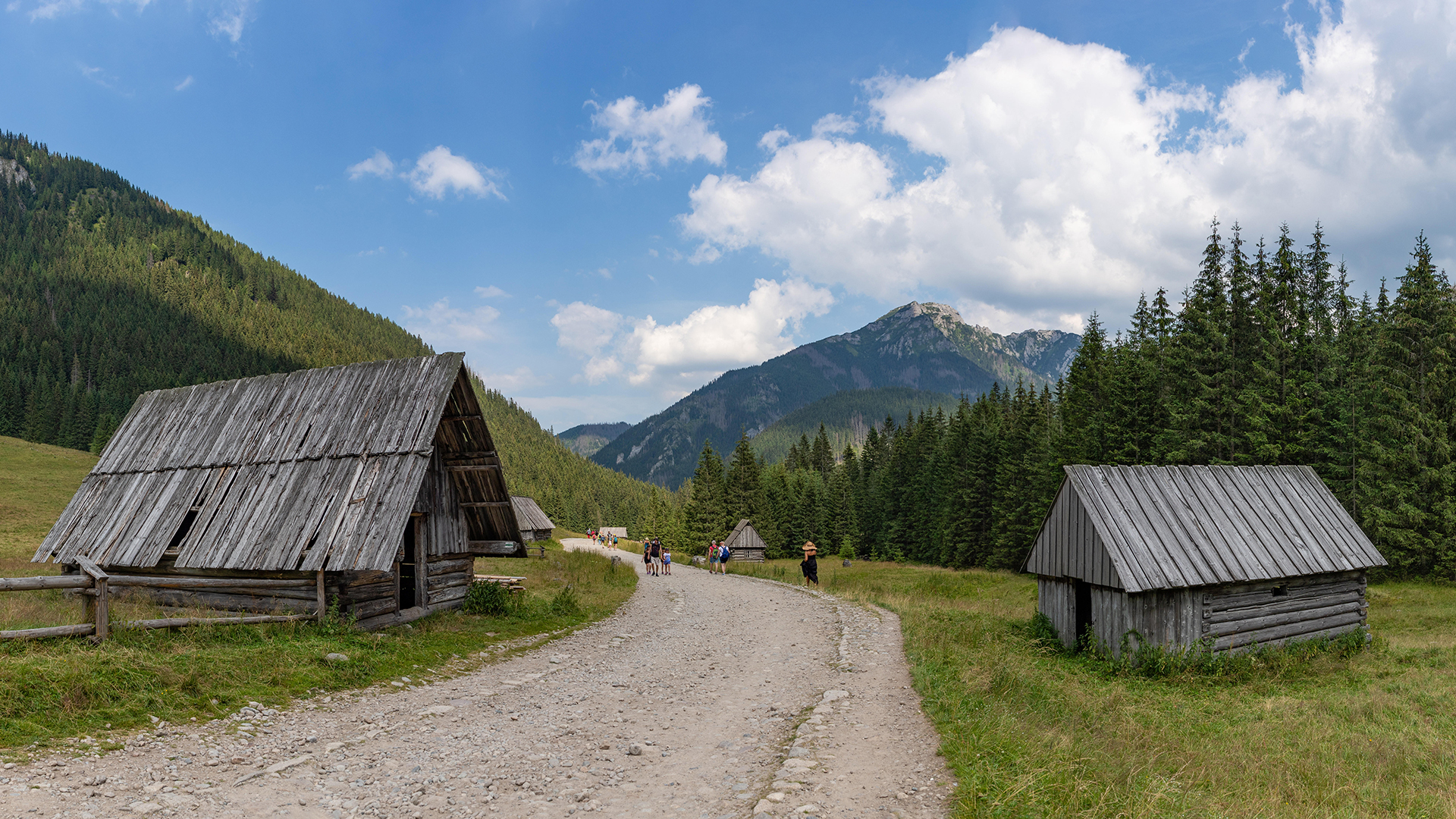 Blick auf die Tatra bei Zakopane | picture alliance / Zoonar