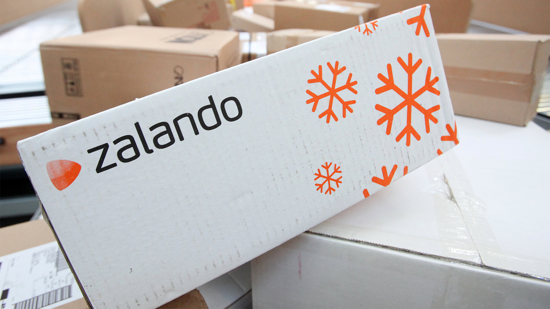 Das Zalando-Logo auf einem Karton | dpa