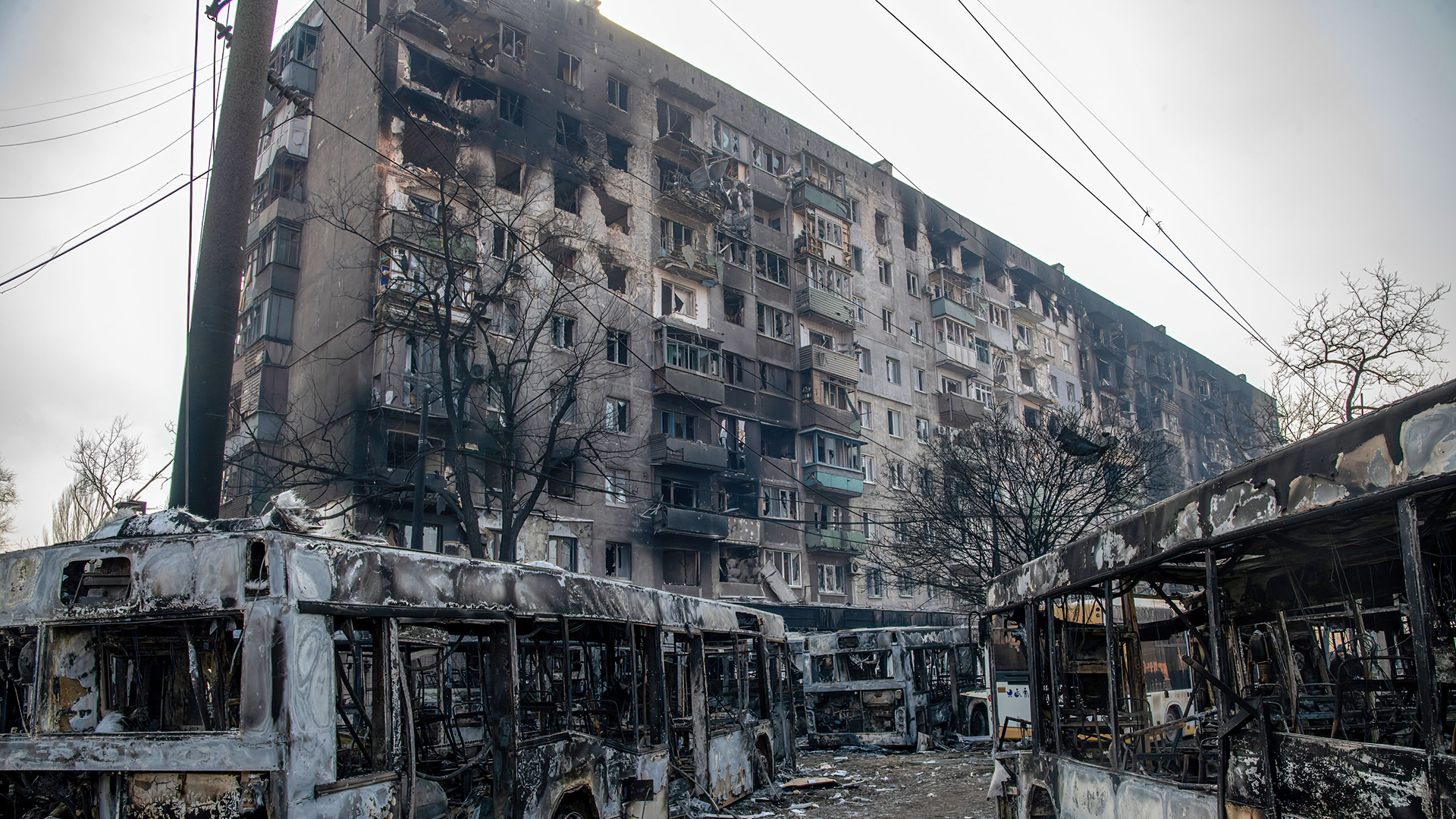 Vor einem durch Bomben zerstörten Hochhaus stehen ausgebrannte Linienbusse. | dpa