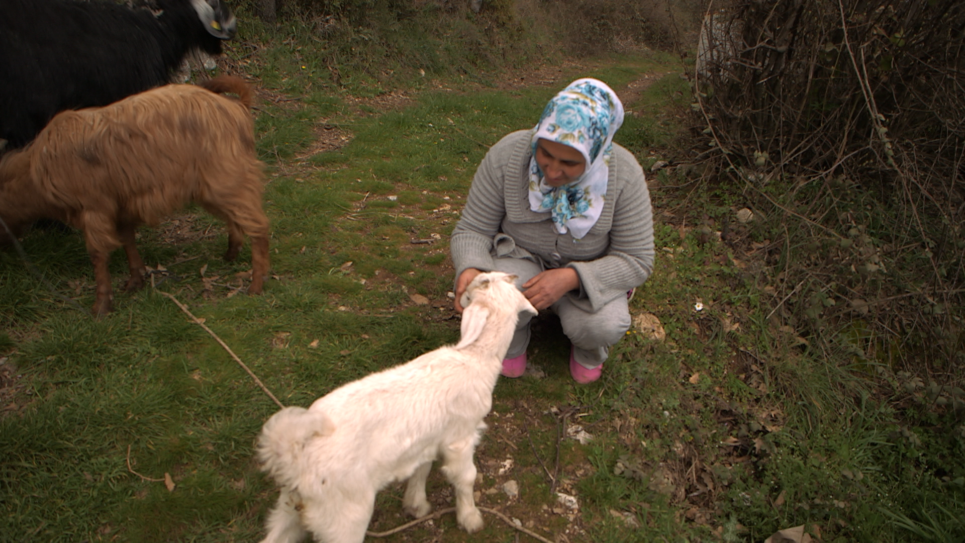 Gülsem Aydogdu mit einer ihrer Ziegen | Şener Azak