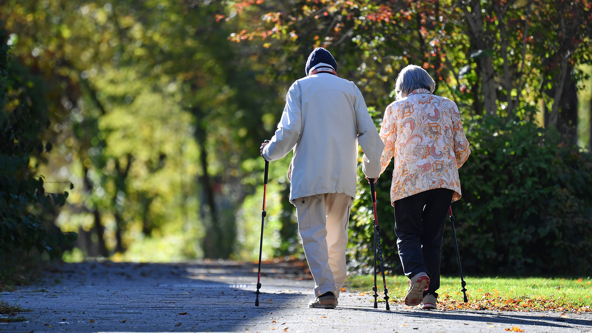 Ein älterer Mann und eine ältere Frau gehen mit Nordic Walking Stöcken spazieren. | picture alliance / SvenSimon