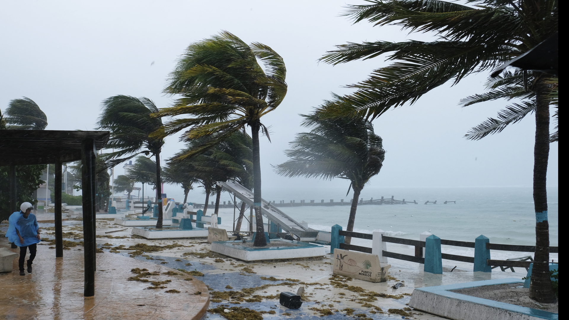 Palmen im Tropensturm "Grace" an der Küste bei Puerto Morelos in Mexiko. | dpa