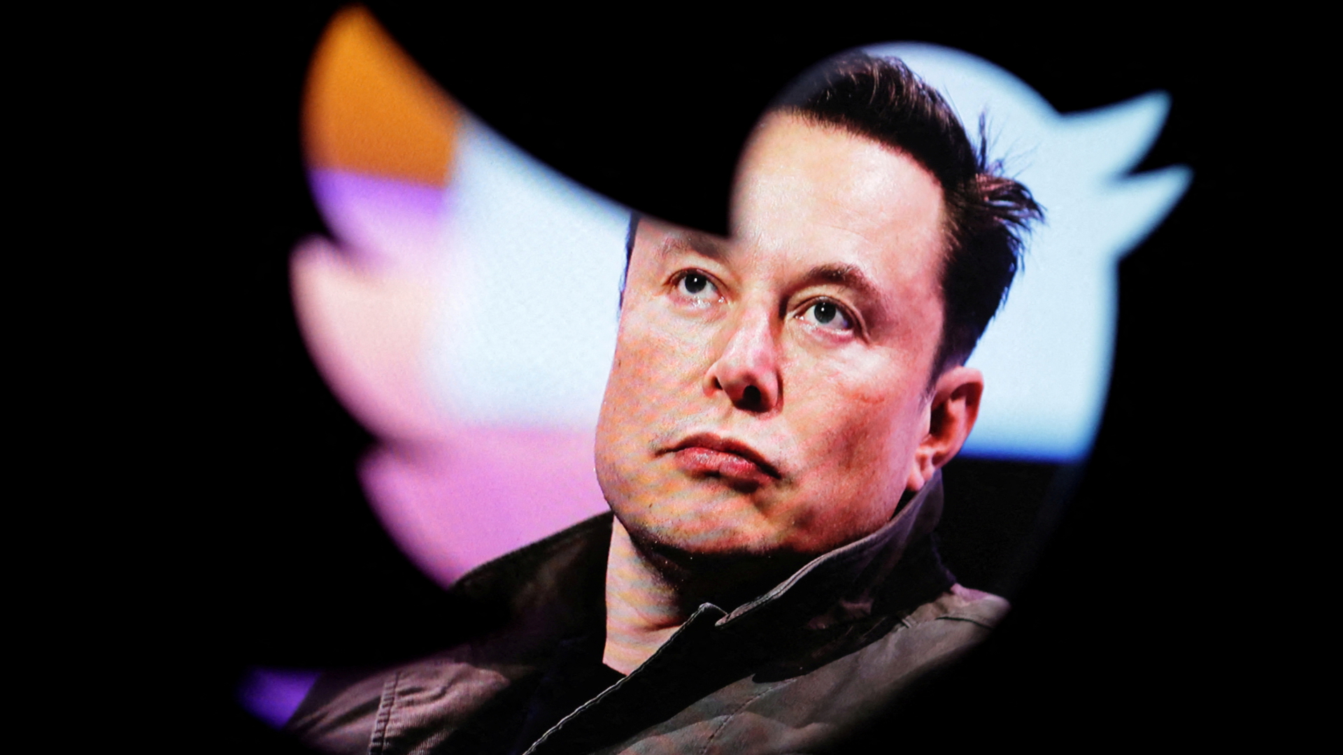Musk verunglimpft Twitter-Mitarbeiter mit Behinderung