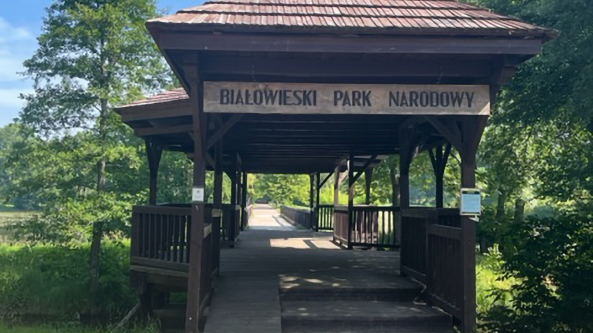 Bialowieza Nationalpark | Joanna Diduszko-Kusmirska