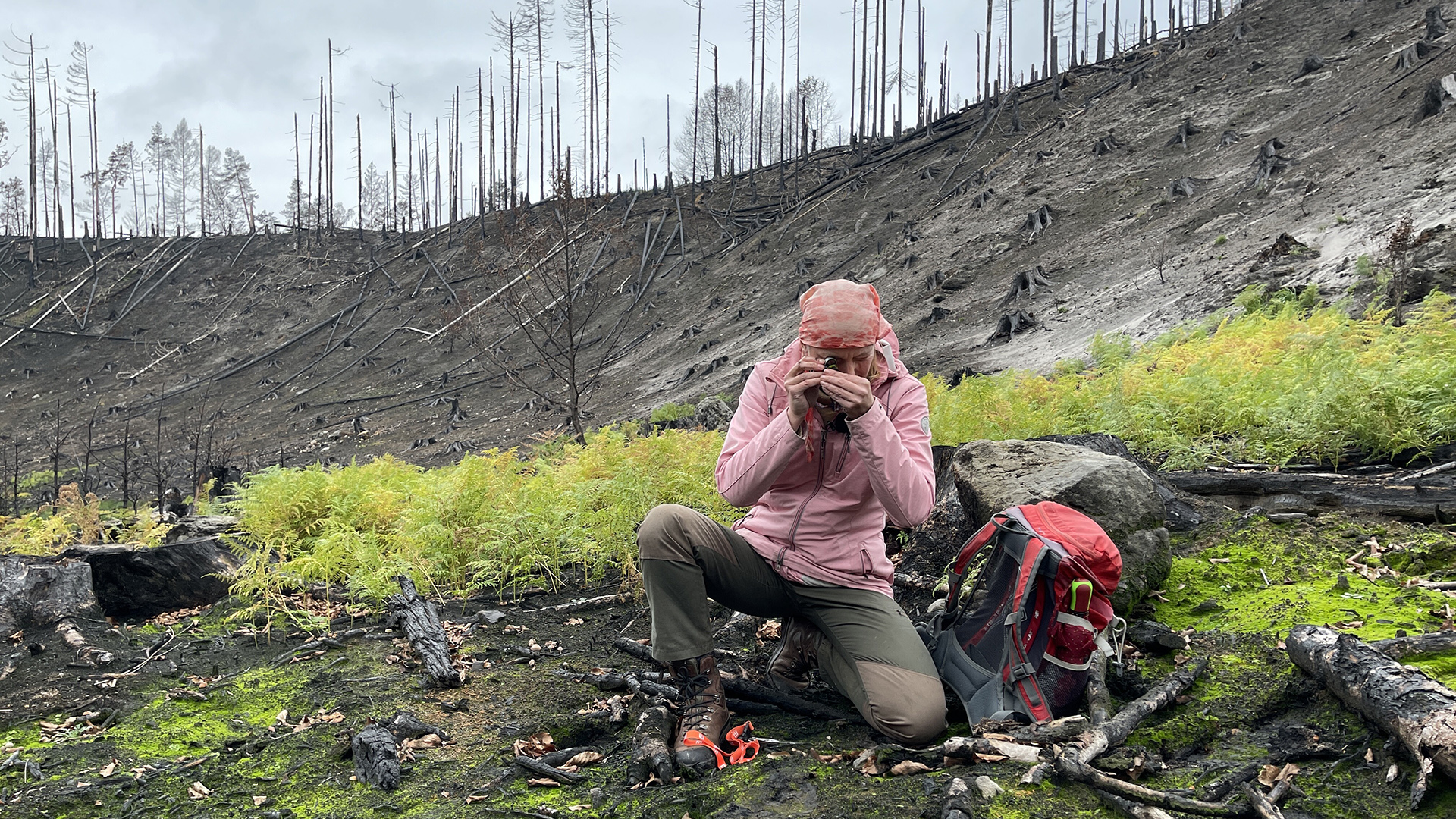 Ein Mann fotografiert den verbrannten Wald. | Danko Handrick, MDR