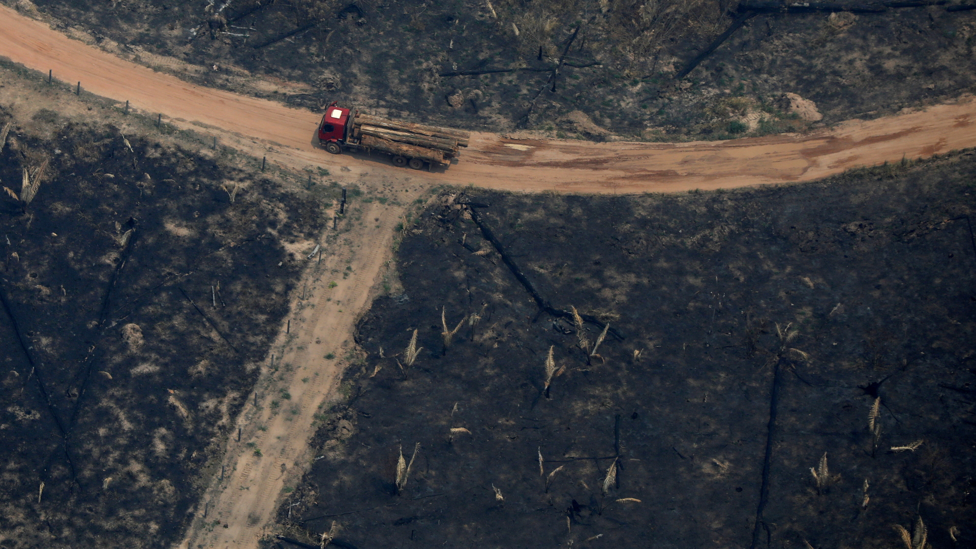 Ein Lkw, der Baumstämme geladen hat, fährt durch abgeholztes Gebiet im Amazonas | REUTERS