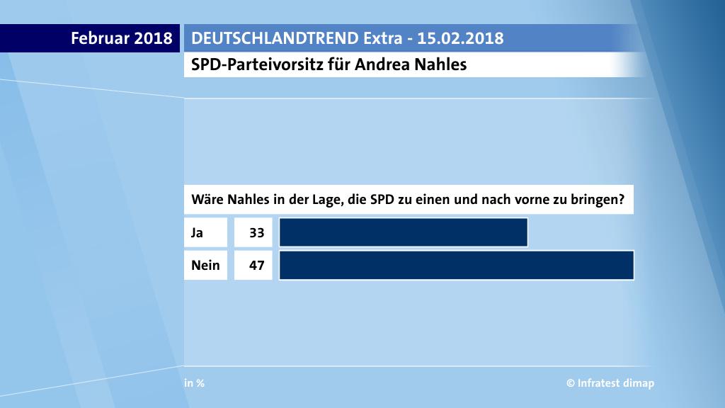 SPD-Parteivorsitz für Andrea Nahles