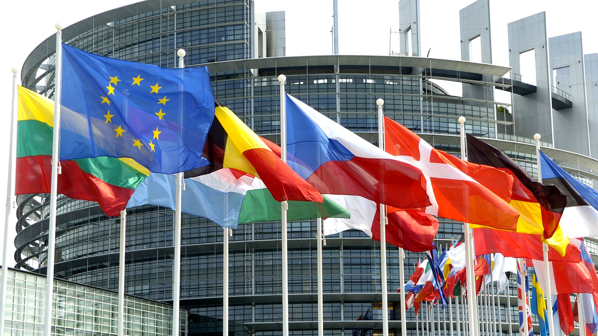 Die Flaggen der Mitgliedsländer der Europäischen Union wehen vor dem Europa-Parlament. | picture alliance/dpa