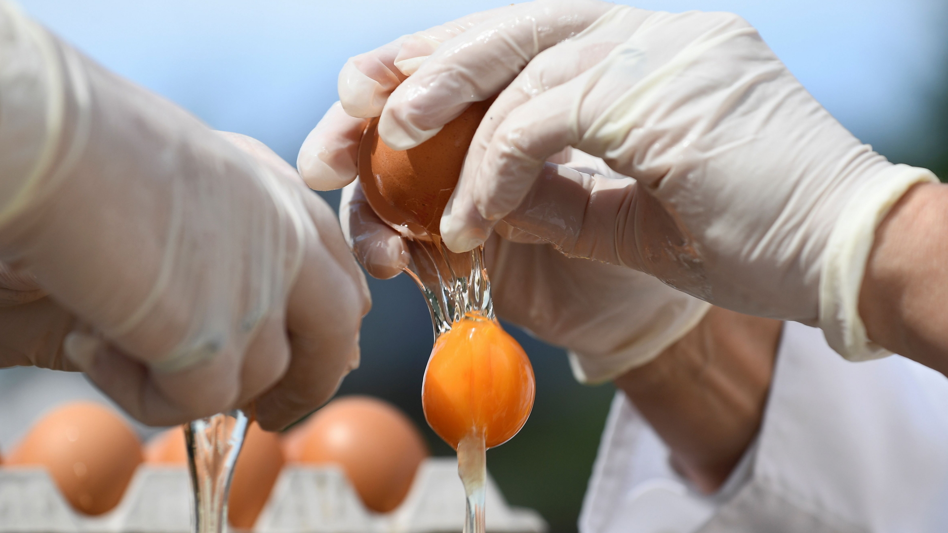 Eier werden aufgeschlagen | AFP