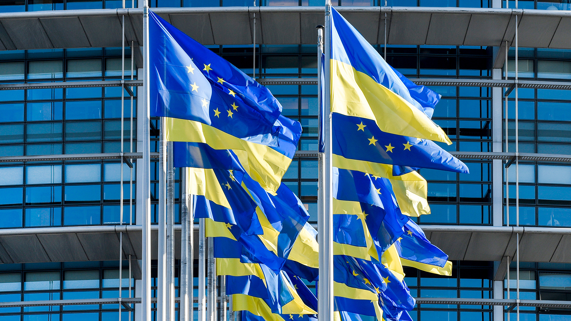 Die Flaggen der EU und der Ukraine | dpa