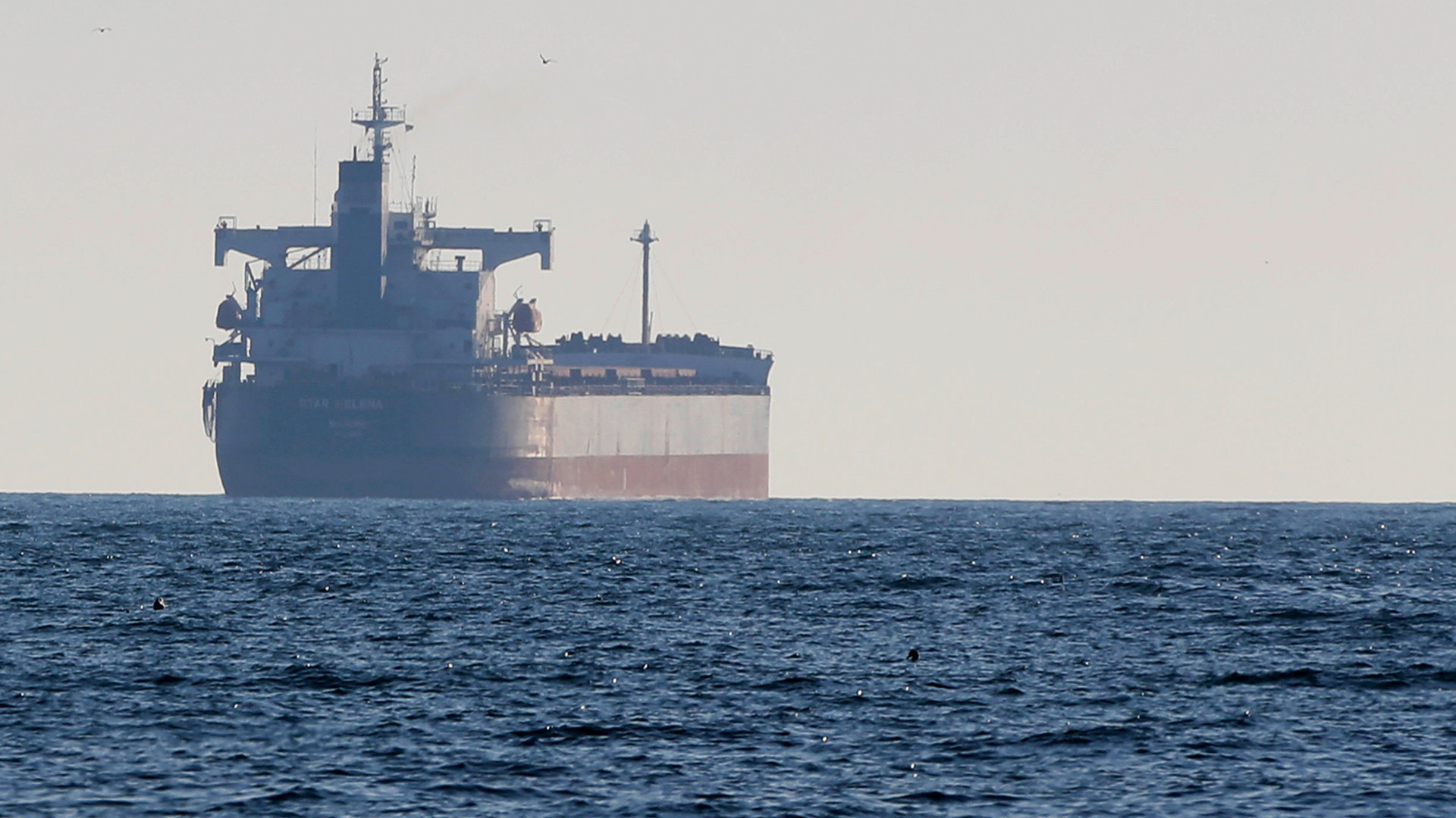 Der Frachter "Star Helena" auf den Weg vom Hafen in Odessa, Ukraine | AP