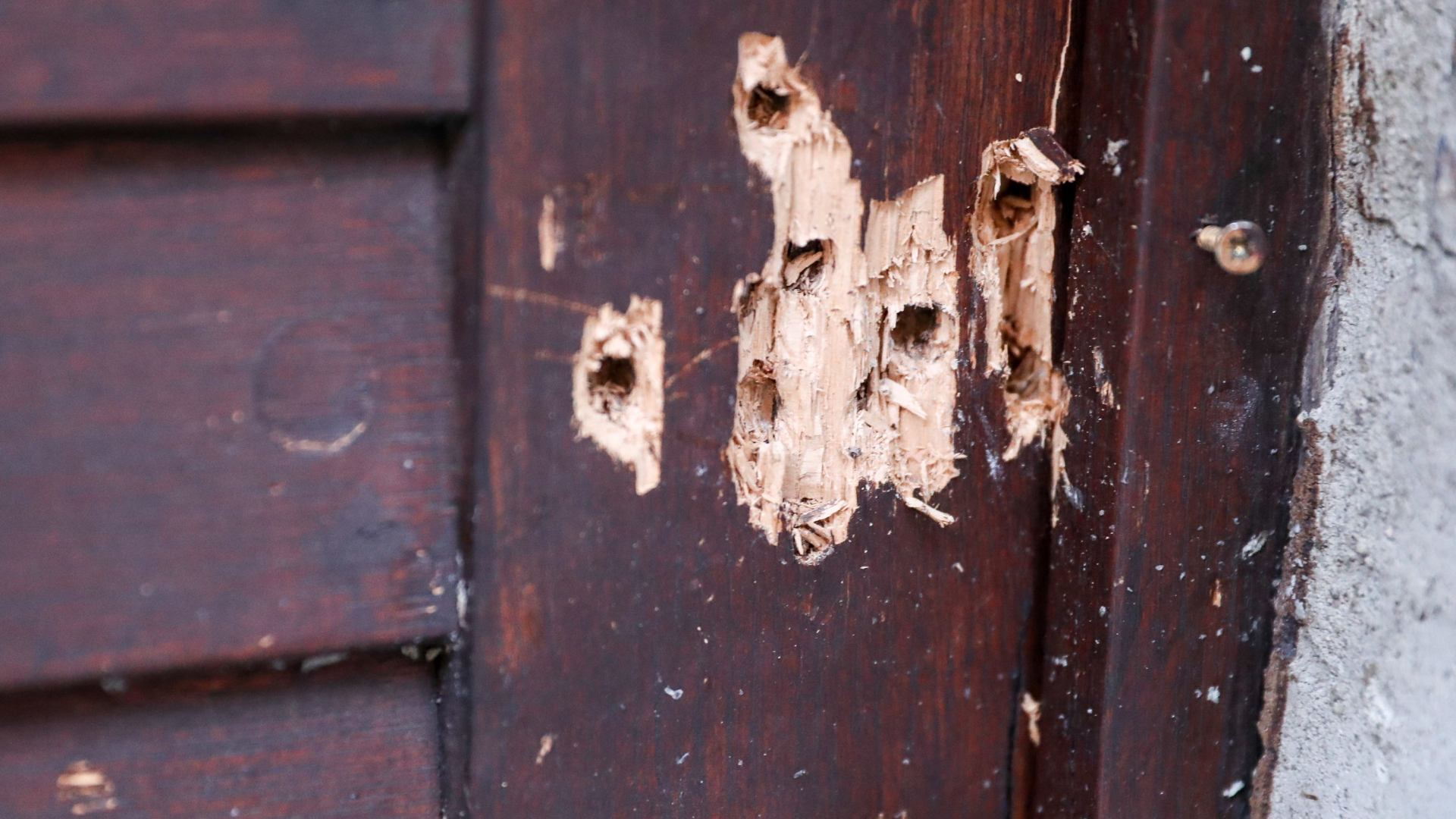 Einschüsse an der Tür der Synagoge in Halle | dpa