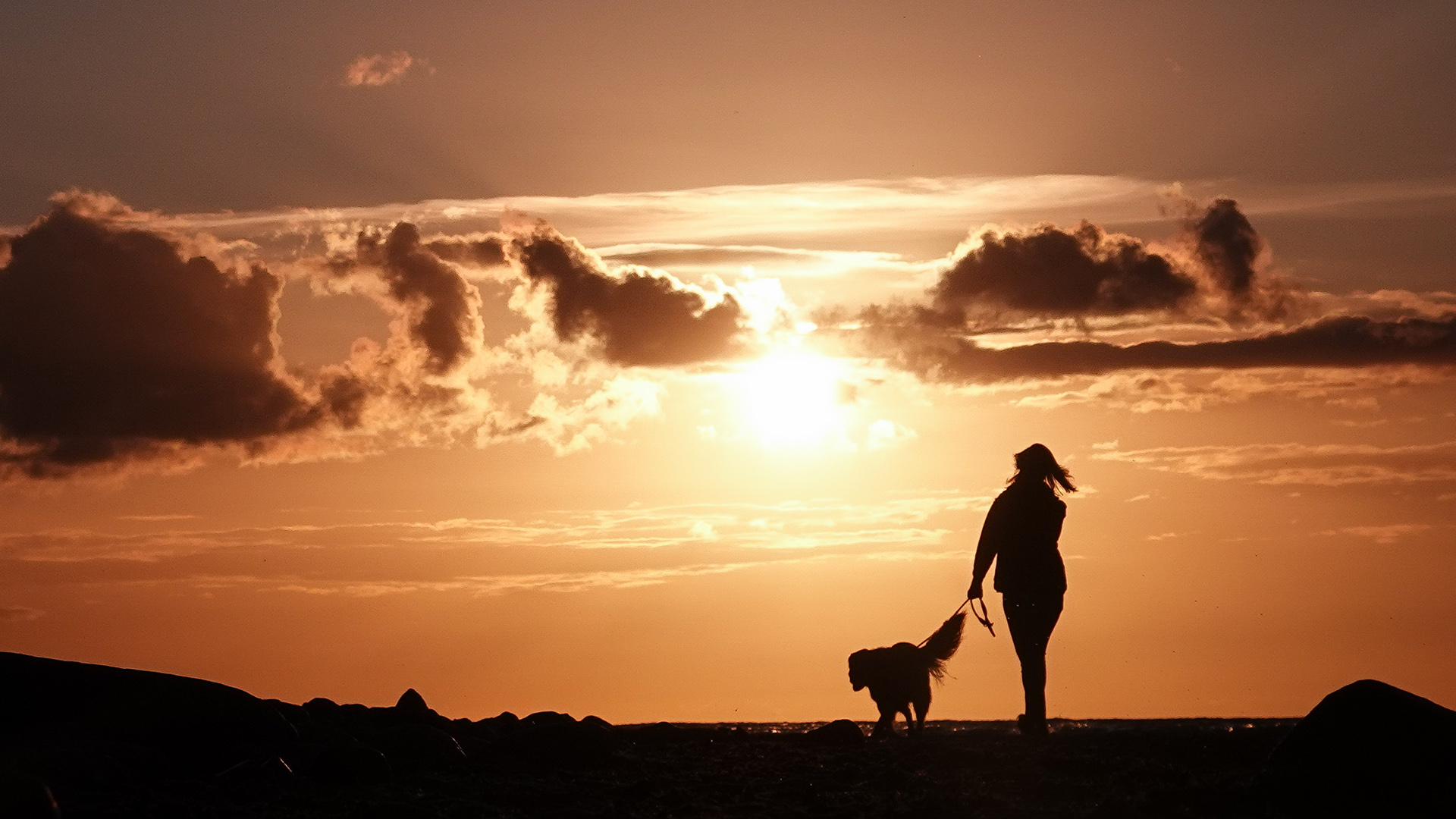Eine Frau geht am Abend mit ihrem Hund spazieren | dpa