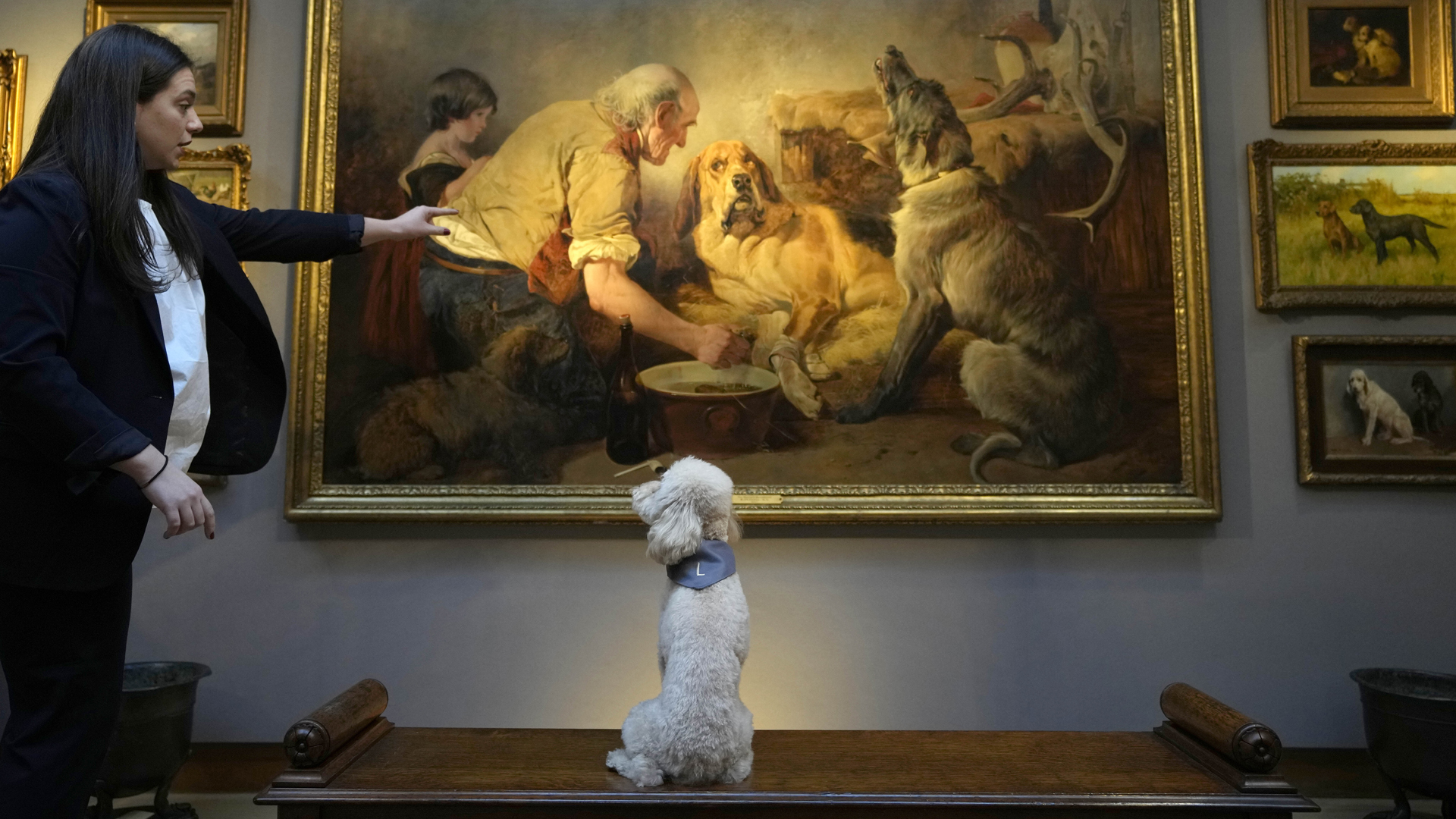 Eine Hündin sitzt vor einem Hundegemälde | dpa