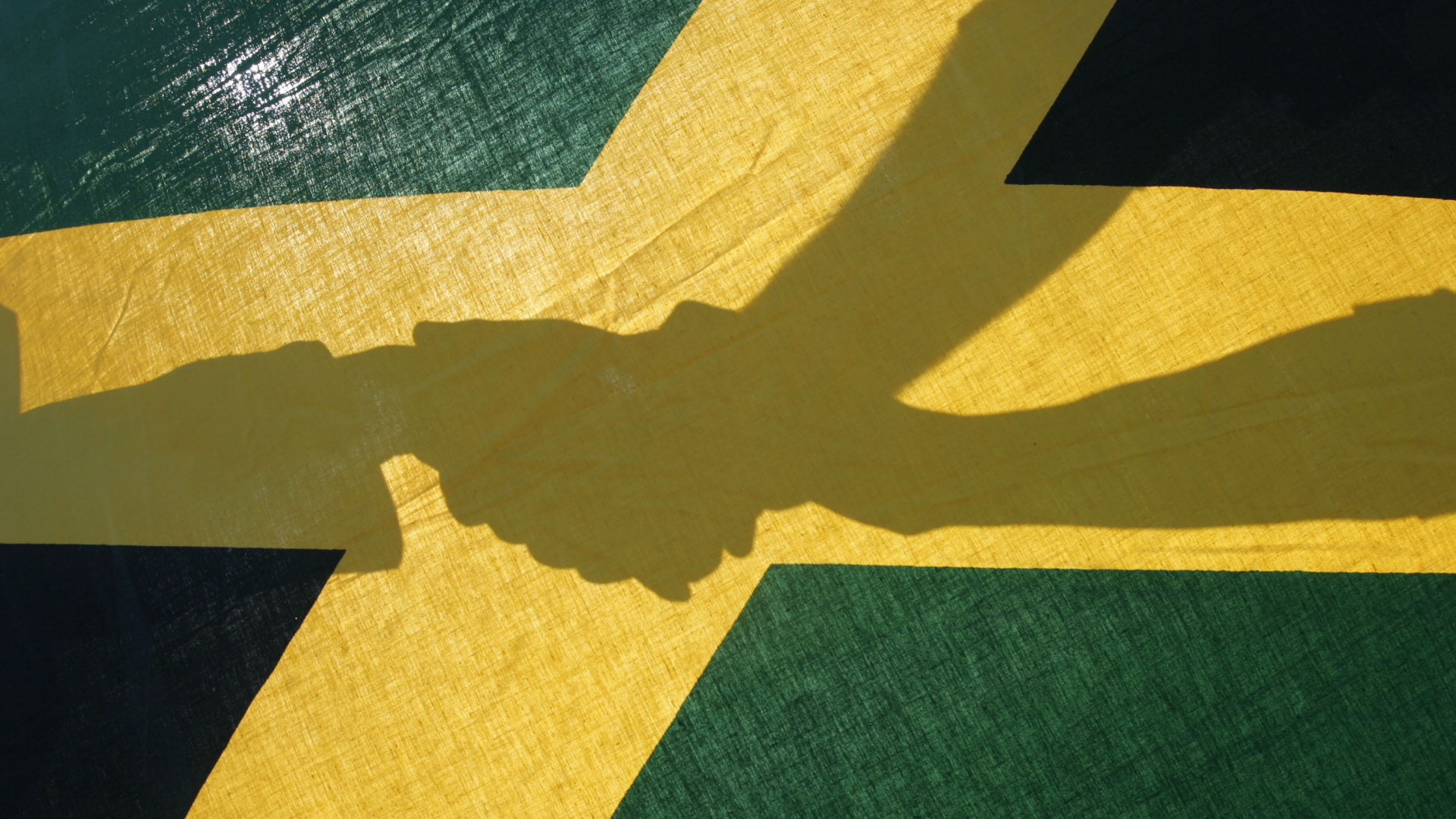 Mottobild Jamaika-Bündnis | dpa