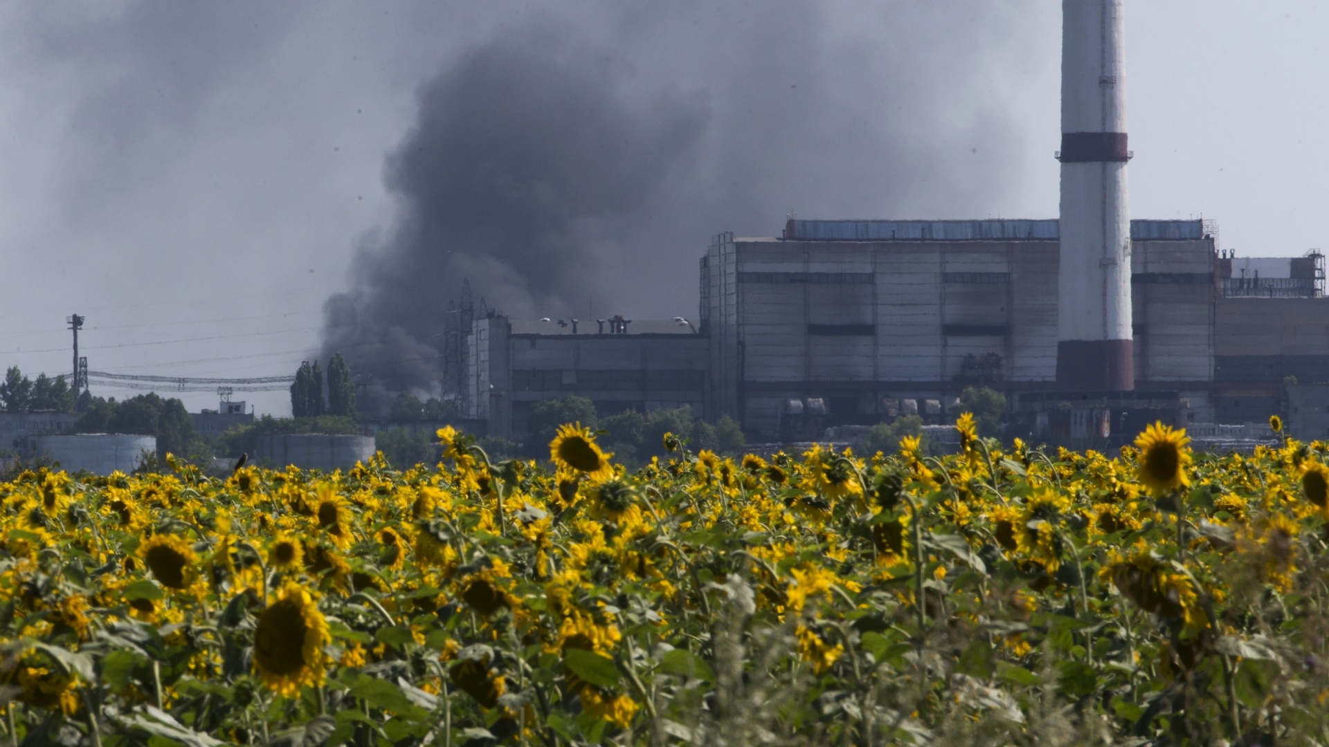 Rauch steigt über einer Ölraffinerie in der Nähe der Stadt Lisichansk in der Region Luhansk auf (Archivfoto: 26.07.2014) | AP
