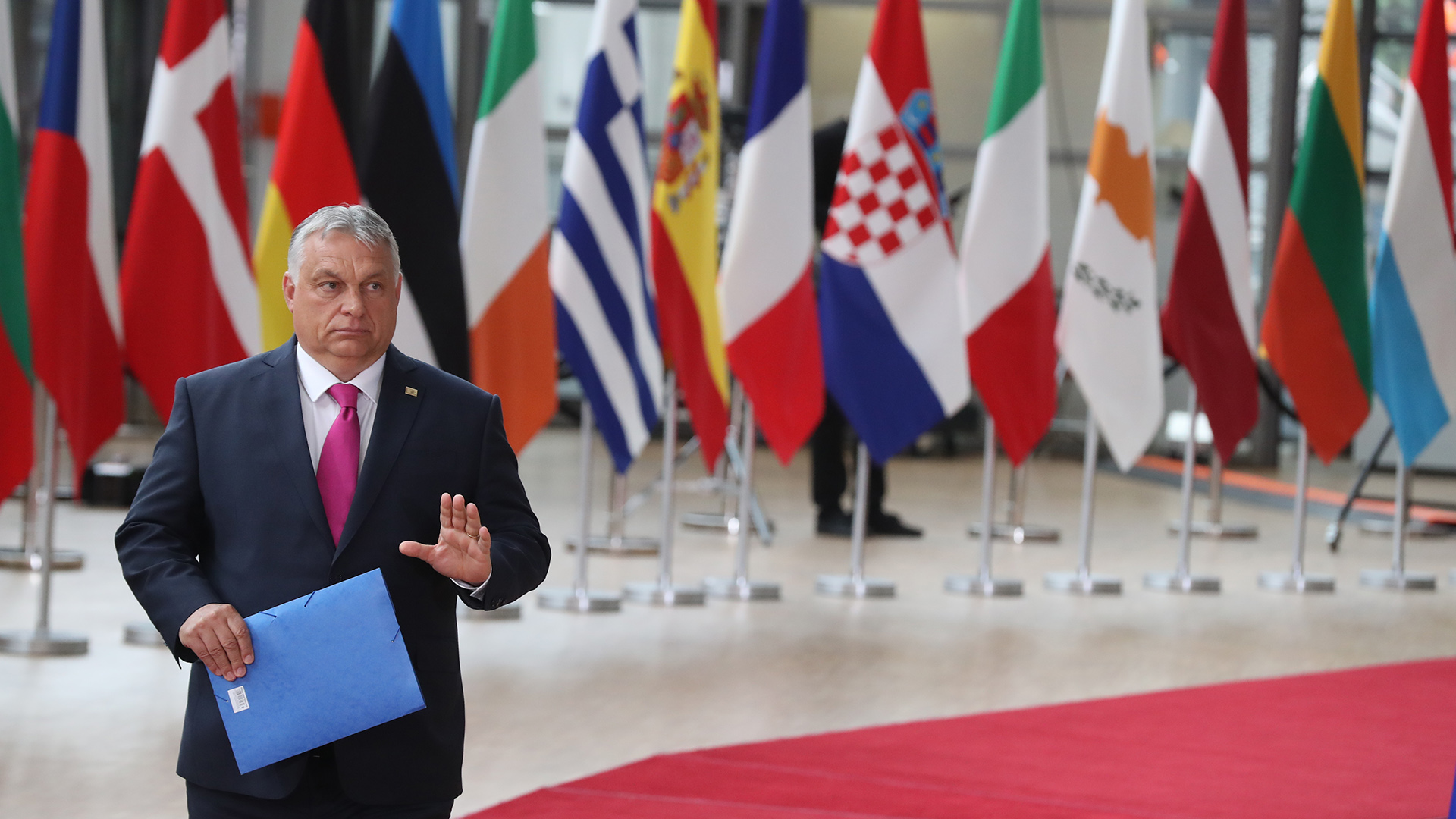 Victor Orban vor Flaggen der EU-Länder | picture alliance/dpa/BELGA
