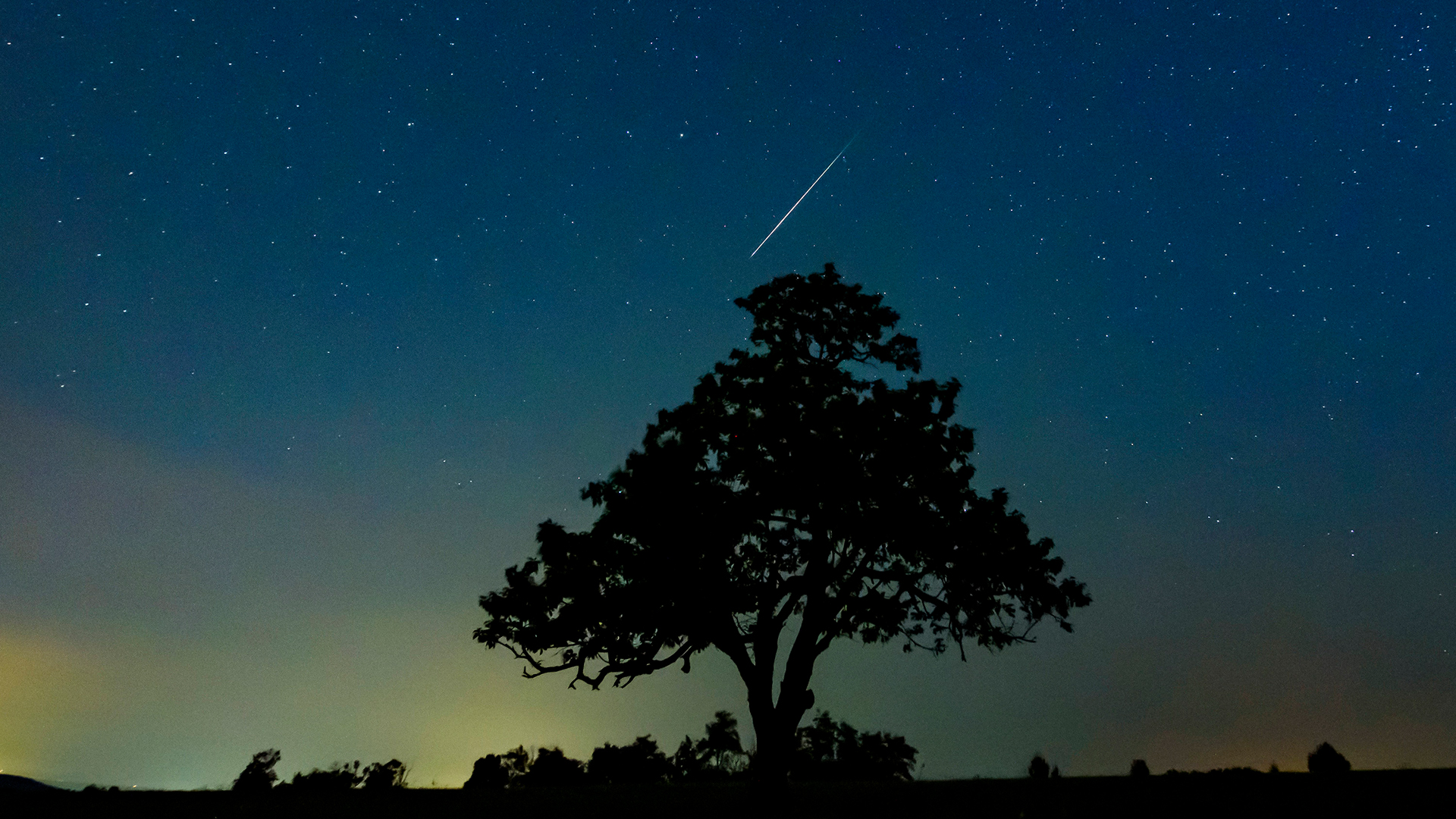 Hier leuchtet eine Sternschnuppe über Salgotarjan in Ungarn (Archiv). | AP