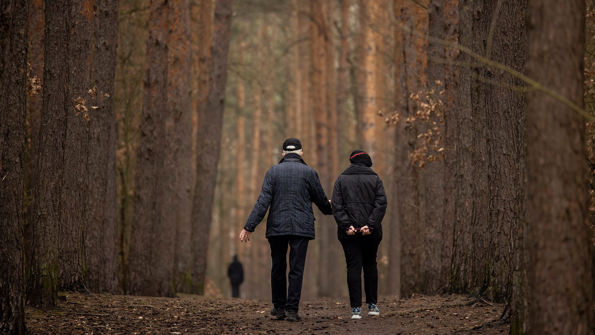 Zwei ältere Menschen spazieren durch einen Wald in Berlin. | picture alliance / photothek