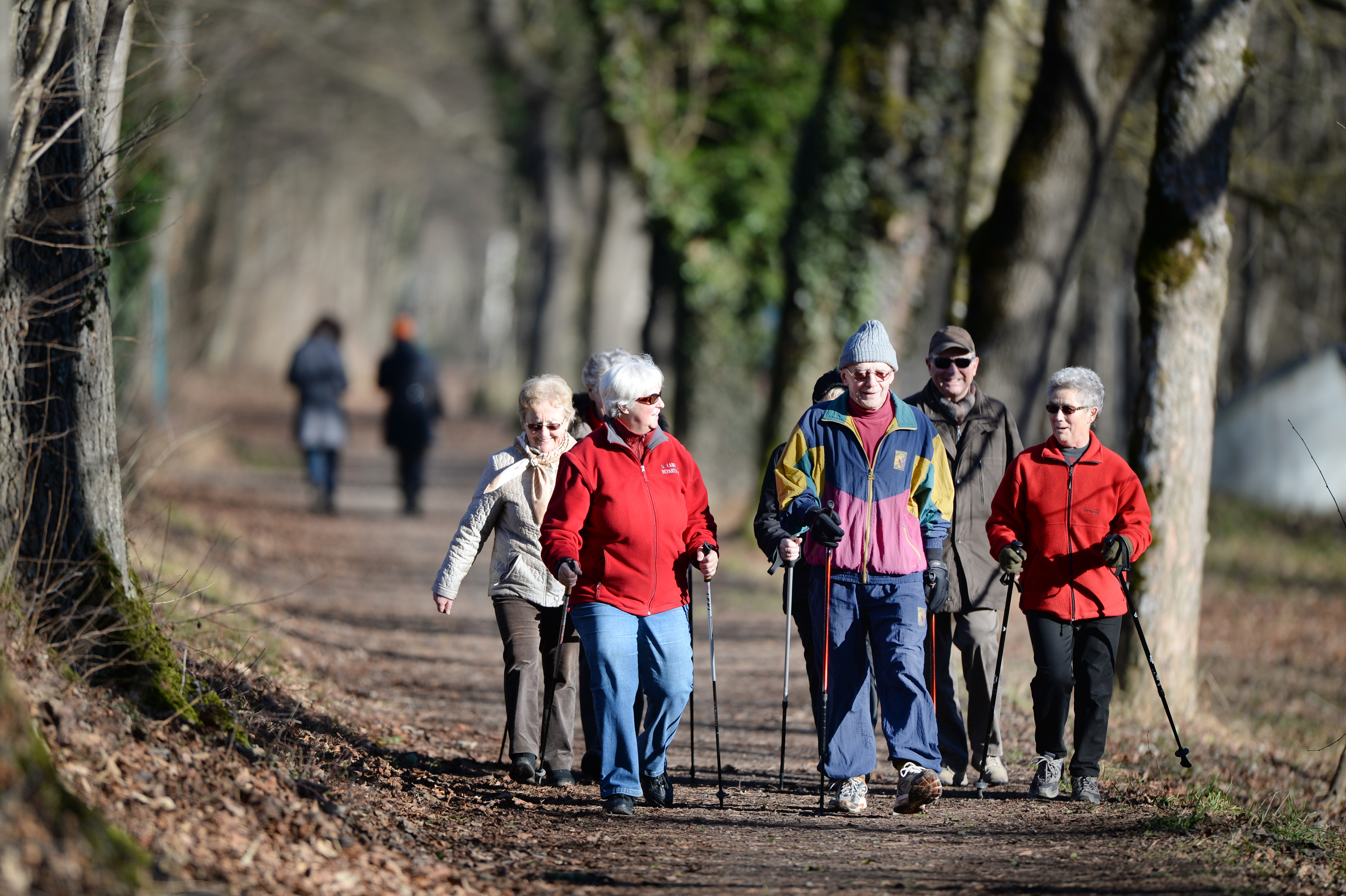 Eine Nordic-Walking-Gruppe von Rentnern macht gemeinsam Sport in der Nähe des Bodensees | picture alliance / dpa