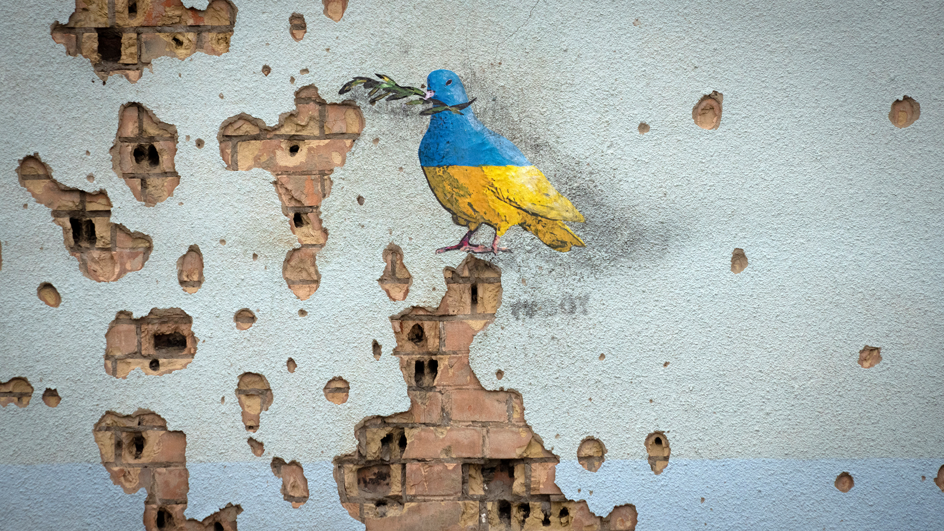Eine Taube des Straßenkünstlers TvBoy an der Wand des Kulturhauses in der ukrainischen Stadt Irpin, das während eines Angriffs schwer beschädigt wurde. | picture alliance/dpa/AP