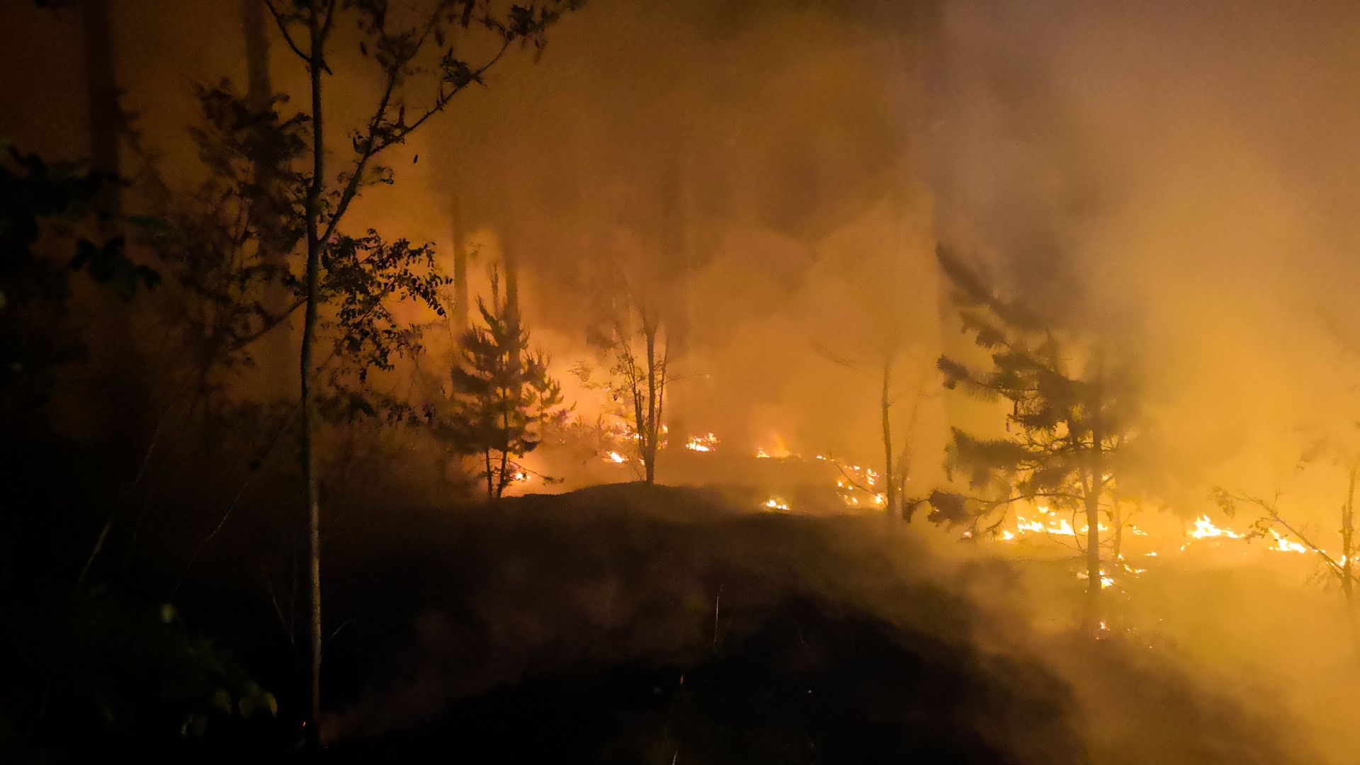 Waldbrand im brandenburgischen Jüterbog im Juni 2019  | dpa