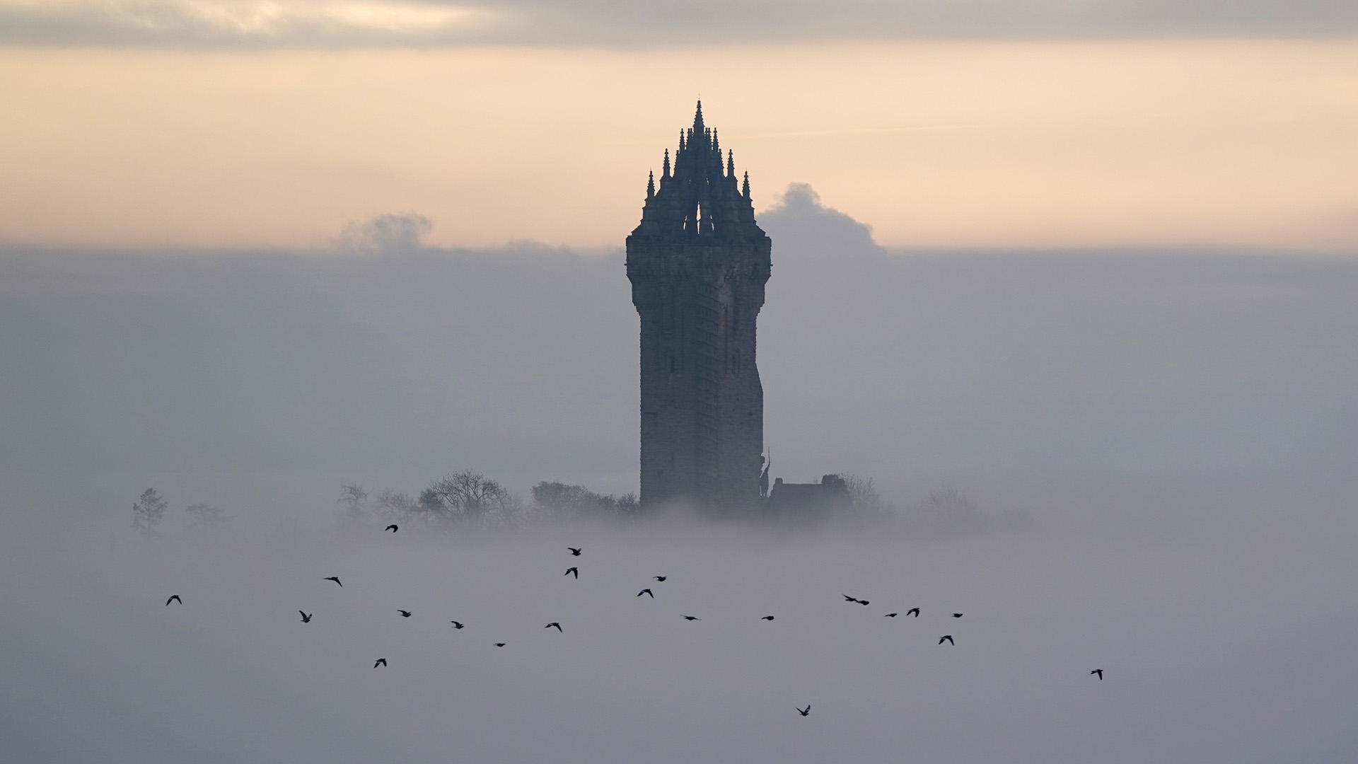 Das Wallace-Denkmal in Stirling ragt aus dichtem Nebel heraus. | picture alliance/dpa/PA Wire