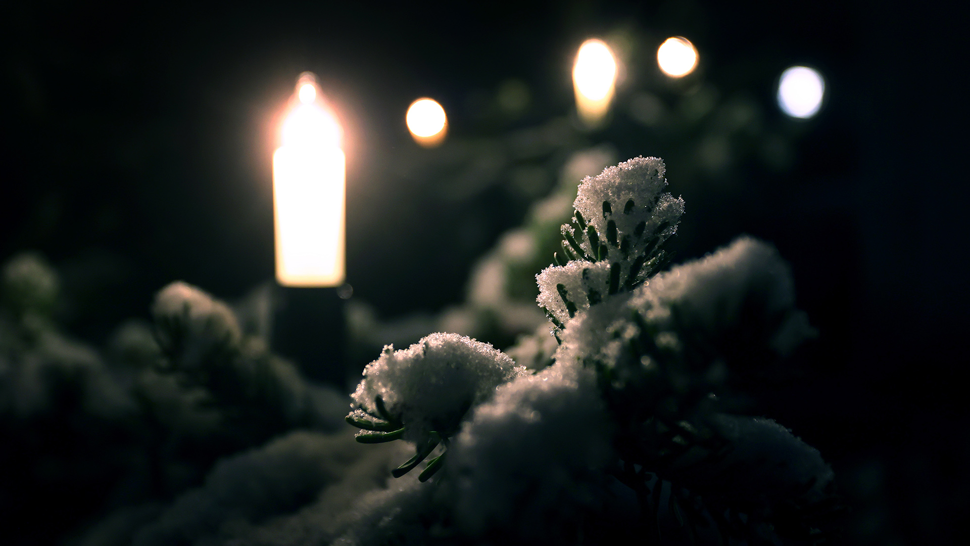 Mit Schnee bedeckte Zweige eines mit Lichtern geschmückten Christbaumes | picture alliance/dpa