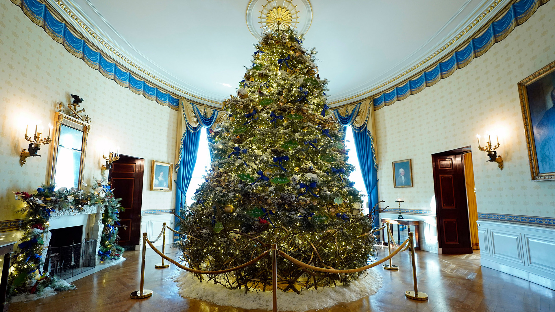 Ein großer Weihnachtsbaum | AP