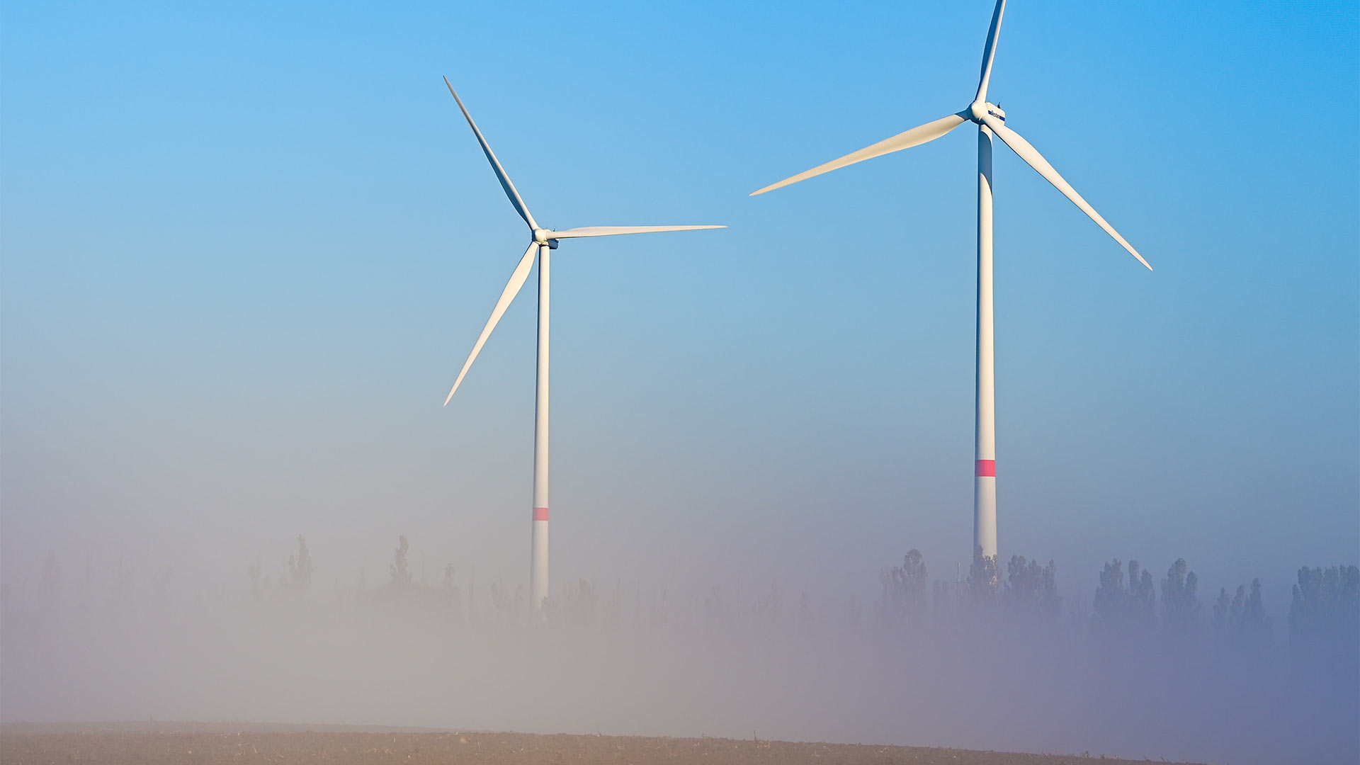 Windenergieanlagen stehen im Morgennebel. | picture alliance/dpa/dpa-Zentral